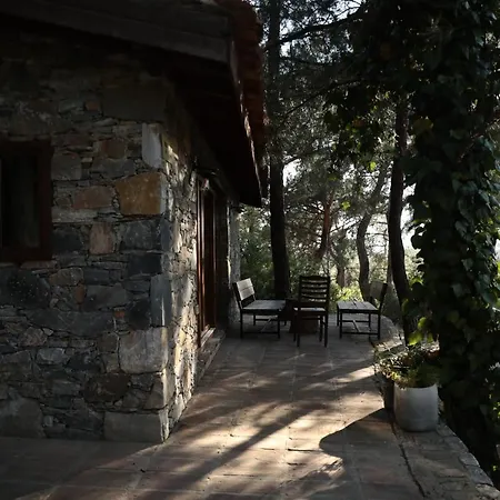 Kayserkaya Σελτσούκ