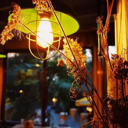 イン カイセルカヤ コテージズ *