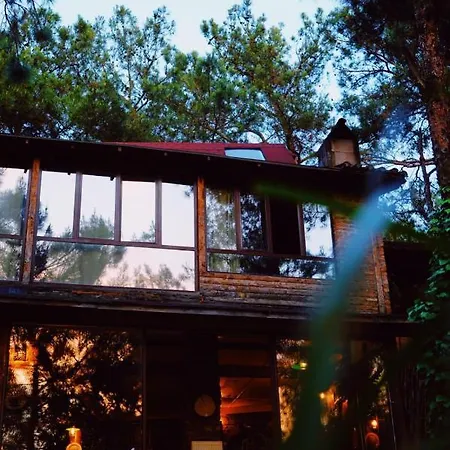 Kayserkaya Selcuk