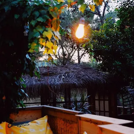 Kayserkaya Estalagem Selçuk