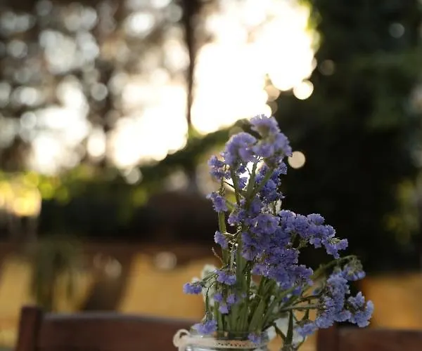 Мини-отель Kayserkaya