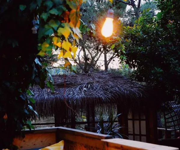 Kayserkaya Мини-отель Сельчук