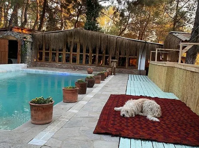 Kayserkaya Мини-отель Сельчук